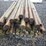 round-wooden-fence-posts-8'l-image-5