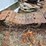 allis-chalmers-hd5-image-89
