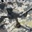 #4082-•-bird-bath-and-patio-umbrella-base-(03)-image-3