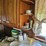 #8001-•-live-on-the-ground-house-hold-items-image-16