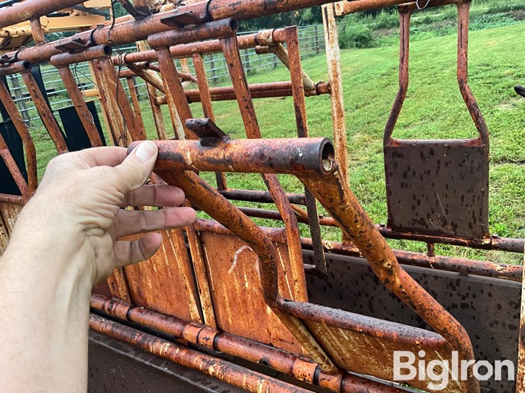for-most-cattle-working-chute-image-20