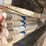 blue-demon-welding-rod-image-13