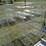 #50182-•-2'x1'x55"-5-unit-rolling-metal-shelf-inv#50182-image-1