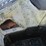 #50134-•-2012-yamaha-grizzley-700-4x4-atv-5y4am36yaca100714-inv#50134-image-16