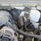 #50234-•-*inop-2011-gmc-sierra-4x4-ext-cab-pickup-1gt22zcg8bz317474-inv#50234-image-21