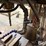 1979-tai-piin-industrial-co-tpr-720-radial-drill-image-20