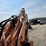 doosan-dx140-lcr-image-30
