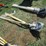 #50163-•-lot-of-(3)-unused-valley-wood-handle-point-shovels-inv#50163-image-1