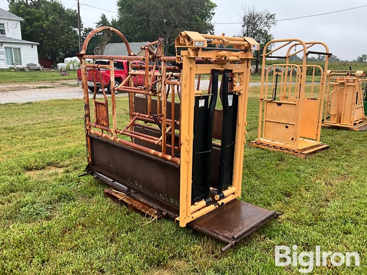 for-most-cattle-working-chute-image-3