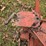 #25271-•-3-point-attachment-plow-image-13