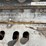 caterpillar-pr-450-image-83