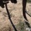 3-pt-cultivator-image-11