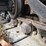allis-chalmers-hd5-image-56
