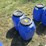 #50150-•-lot-of-(2)-jugs-w/lids-inv#50150-image-1
