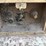 ingersoll-rand-p175-image-31