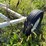 buhler-farm-king-1060-image-18