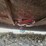 bush-hog-bh16-image-11