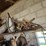 #8780-•-shelf-contents-lot-image-2