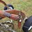 new-idea-401-image-29