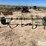 3-pt-cultivator-image-6
