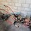 #8768-•-rear-tine-garden-tiller-image-1