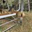 #3294-•-boat-lift-image-11