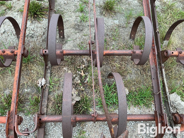 ford-228-spring-tooth-harrow-image-16