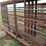 #44948-•-lot-of-(5)-24'-cattle-panels-inv#44948-image-4