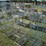 #50181-•-2'x1'x55"-5-unit-rolling-metal-shelf-inv#50181-image-2