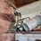 #8780-•-shelf-contents-lot-image-5