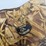 #202-•-ducks-unlimited-camo-waders-&-thinsulate-insulated-boots-|-2-sets-image-6