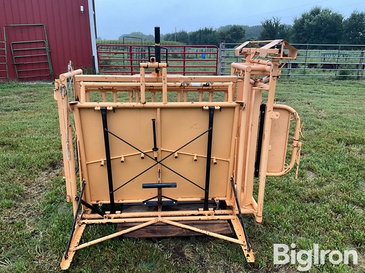for-most-calf-working-chute-image-4