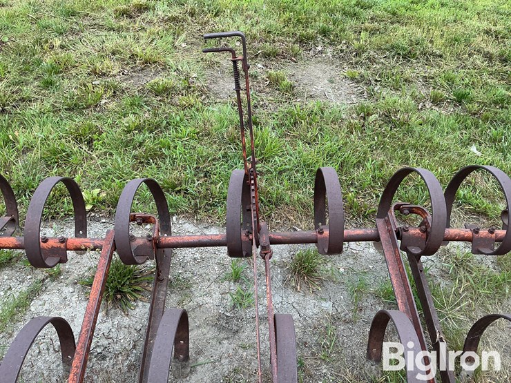 ford-228-spring-tooth-harrow-image-17