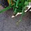 john-deere-5045e-image-21