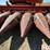 1979-massey-ferguson-750-image-17