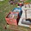 #8000-•-live-on-the-ground-only-items-image-21