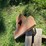#8746-•-john-deere-combine-weights-image-6