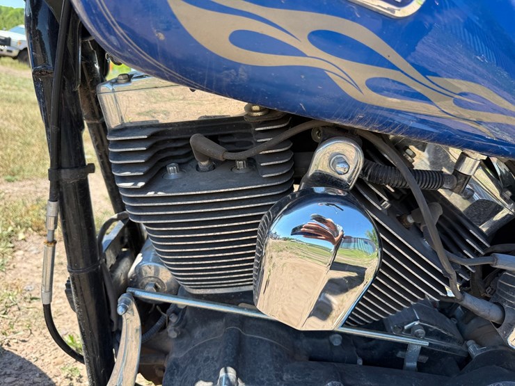 #1393-•-2007-harley-davidson-fxdwg-motorcycle-image-22