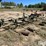 3-pt-cultivator-image-6