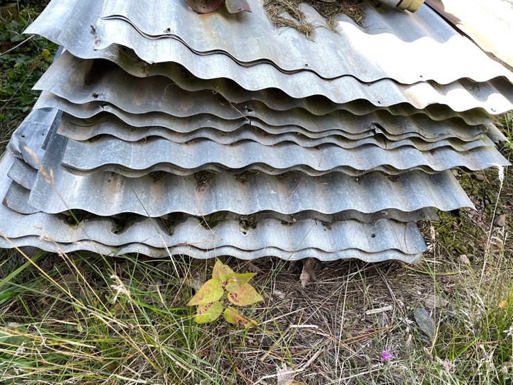 #1630-•-pallet-of-corrugated-steel-image-5
