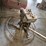 #8771-•-concrete-finisher-image-12