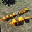 #50101-•-unused-7"-&-12"-post-diggers-inv#50101-image-1
