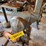 #8711-•-delta-band-saw-image-7