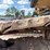 2019-caterpillar-352f-image-108