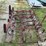 ford-228-spring-tooth-harrow-image-8