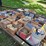 #8000-•-live-on-the-ground-only-items-image-10