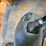 2004-volvo-l220e-image-63