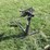 #46098-•-engine-stand-inv#46098-image-3