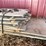 #1651-•-(2)-bundles-of-oak,-and-possibly-pine-boards-image-8