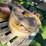 #8744-•-john-deere-wheel-weights-(7)-image-1